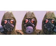 人們從以下哪種動物身上得到啟發,發明了防毒面