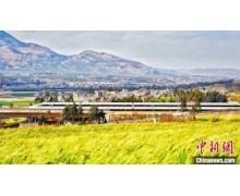 暑運大考 鐵路必將交上一份讓社會滿意的“答卷