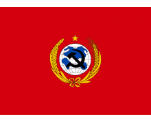 世界上所有國家的國旗都是長方形的嗎 螞蟻莊園