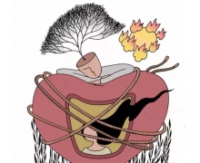 一個成年人每天掉多少頭發正常?螞蟻莊園小課