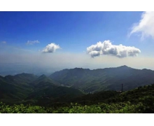 條條大路通羅馬，各行各業出人才