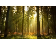 鐵路e卡通，通行一路通