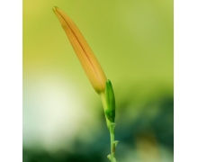 人才儲備，為鐵路厚積薄發蓄