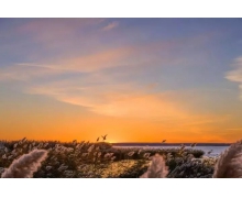 “環西部火車游”專列，為文旅經濟復蘇按下“