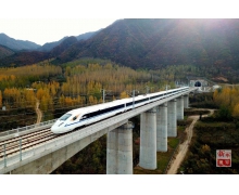 看中國班列乘風破浪,為全球經濟提供強勁引擎