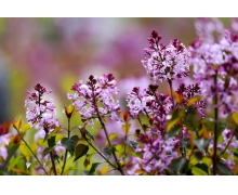 “限塑令”加碼，限塑措施也應當升級