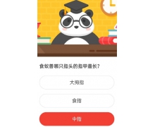 食蟻獸哪只指頭的指甲最長 森林驛站2020年9月9日