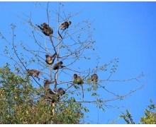 2020年9月9日今天螞蟻莊園答案是什么 公益周期間