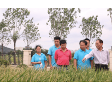 三年銷售農產品5400億 阿里：數字技術會讓農產品