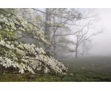 秦嶺山脈上的小慢車滿載幸福