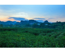 鐵路公安嚴格打擊倒票制假行為 守護人民合法權