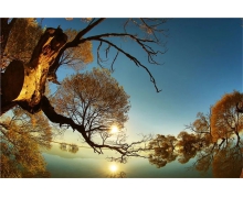 “雙節” 客流回暖,讓流動的中國在金秋里美如