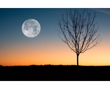 螞蟻莊園2020年10月10日答案 地球的南極北極都是