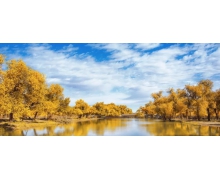 高鐵讓人們在不期而遇的“雙節”假期中體驗了