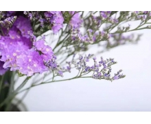 日常防疫常態(tài)化，鐵路安全標準化