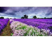 坐著高鐵,品味祖國山河最美的風景