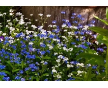 電子客票助乘客便利出行