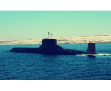 潛艇在水中能自由下潛上浮是借鑒了魚什么器官