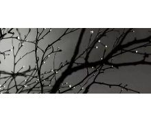 耳順之年是指什么年齡  螞蟻莊園2020年11月11日答