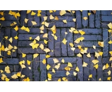 雙十一狂歡的背后，是塑料垃圾的何去何從