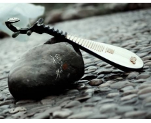 螞蟻莊園2020年11月20日答案 大珠小珠落玉盤形容