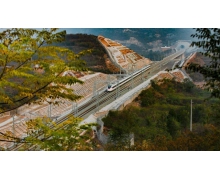 復興號助力雙十一