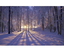 天寒地凍中的“除雪打冰”衛(wèi)士