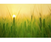 開行旅游專列，為鐵路便民之舉點贊