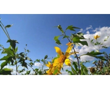 “成昆精神”讓蜀道不再難