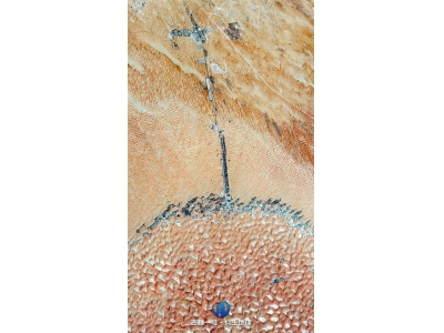 阿聯(lián)酋利瓦綠洲：沙漠中的翡翠，自然與文化的