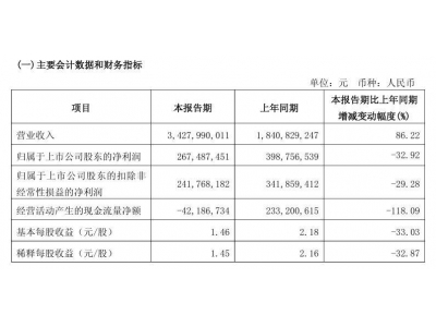 石頭科技2025年Q1營收大增86%，凈利潤下滑三成，