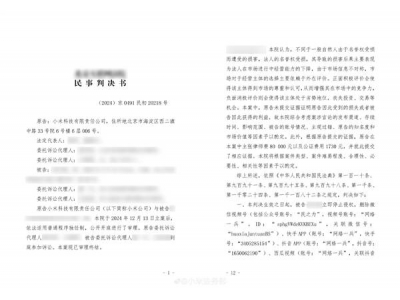 小米勝訴自媒體“民之力”，名譽權案獲賠6萬，