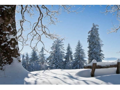 電源管理芯片：電子產品能效背后的智慧“管家