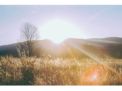 阿里巴巴開源AI大模型Qwen系列,性能媲美國際頂