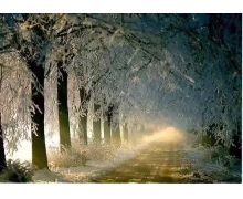 京哈高鐵開通 架起東北復興夢