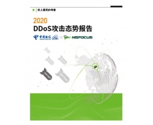 2020DDoS攻擊態勢報告|單一團伙的攻擊總流量最高