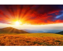 復興號助旅客舒適返鄉