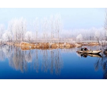 “無接觸拜年”開啟過年新時尚