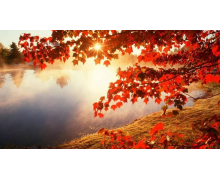 鐵路人的詩和遠方 并非遙不可及