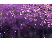 履行旅客義務才能更好享受出行權利