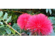 關愛老年旅客，鐵路服務質(zhì)感有溫度