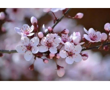 “一個人的春運”見證鐵路人的情懷與擔當