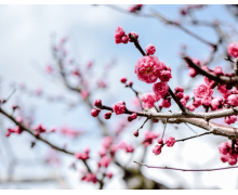 關愛老人 鐵路在行動