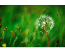 守護高鐵上方藍天，還需多方合力