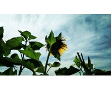 從“數字”看鐵路的遐想