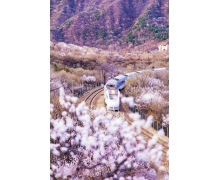 提升高鐵“軟實力”還需“硬手段”