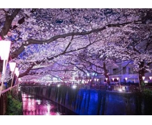 夜間高鐵，持續釋放動能