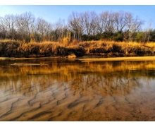 文明出行 素質成為“硬核”傷害