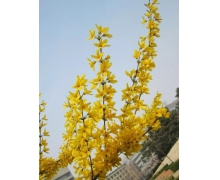 關注老年乘客服務 鐵路服務持續發力