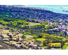 “熊貓專列”順利啟航,中國鐵路又添新名片